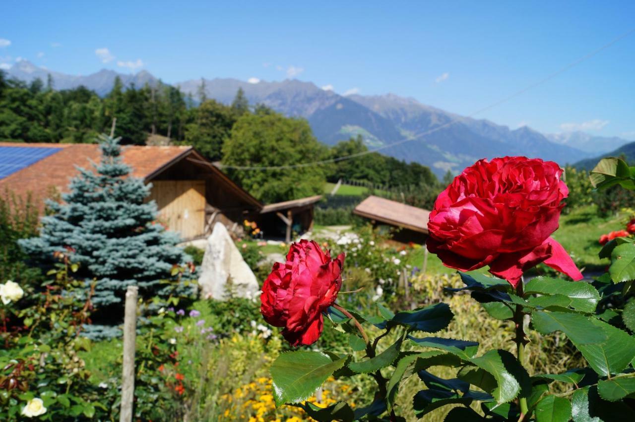 Appartements Grumserhof Merano Luaran gambar